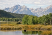 01 - Grand teton NP (05)